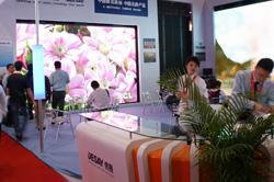 Il 6° LED Cina 2010