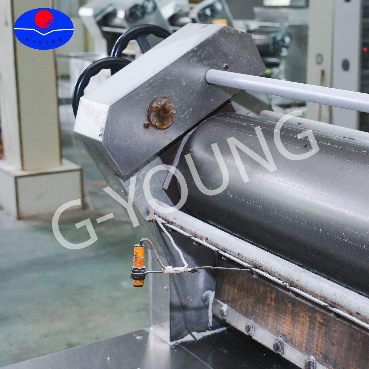 Mach perfekte Nudeln jedes Mal mit unserer Maschine