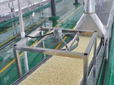 What to Look for in an Instant Noodle Production Line