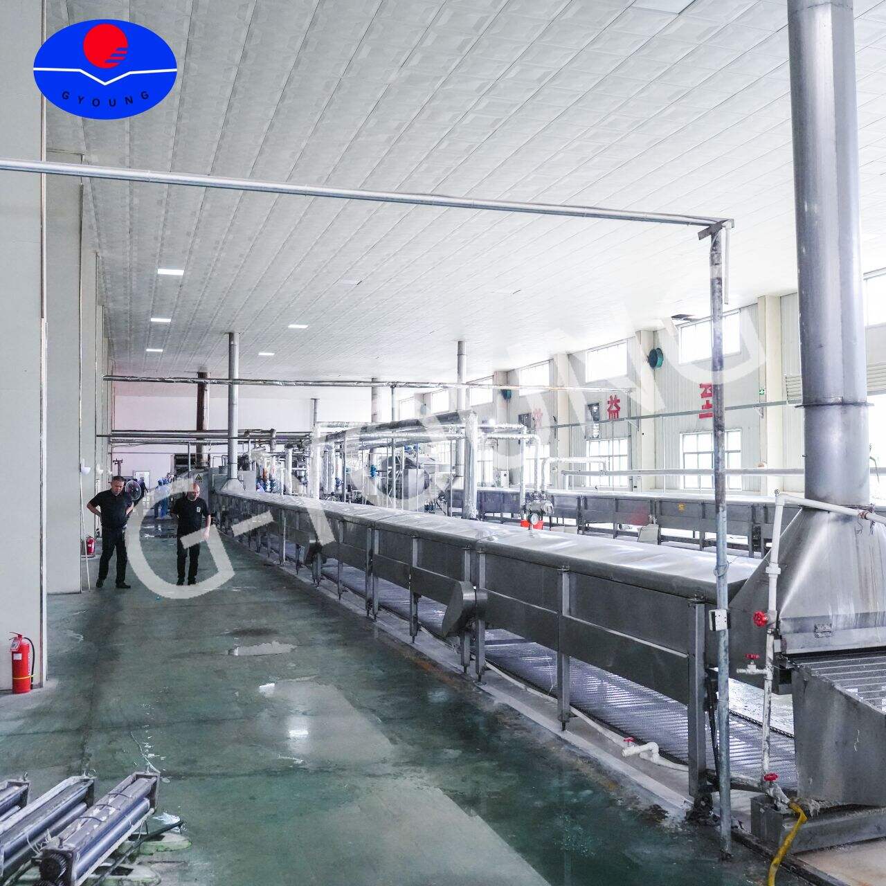 Die ultimative Lösung für Liebhaber von selbstgemachten Nudeln