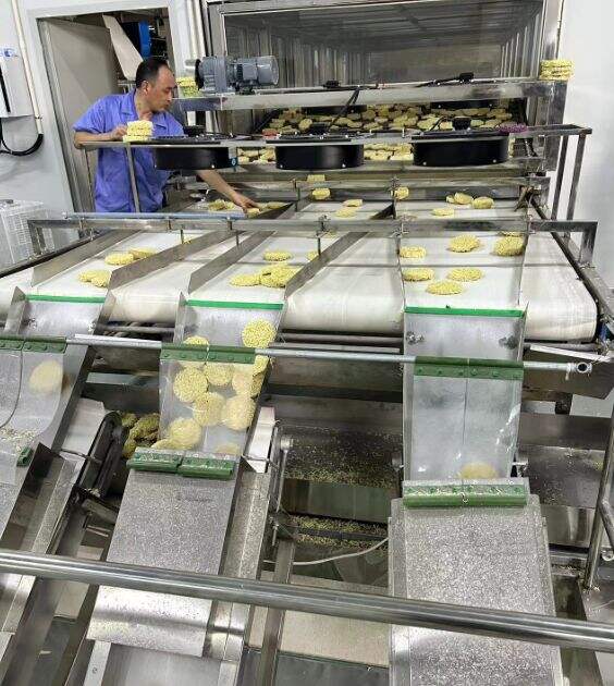 Mantenha-se à Frente da Concorrência com Nossas Soluções Confiáveis e Economicamente Viáveis para Fabricação de Massas