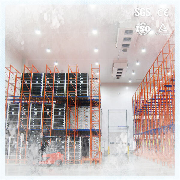 Novissima fashina in frigoriferis pro floribus ingrediendis emptoribus ad venditionem