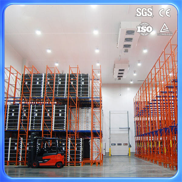 信頼性の高い冷却システムで食品を新鮮かつ安全に保ちましょう