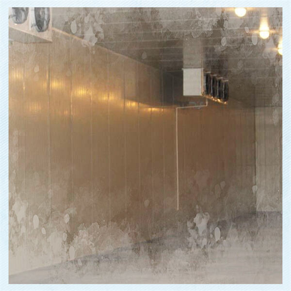 費用対効果が高く、環境にやさしい冷蔵ソリューション