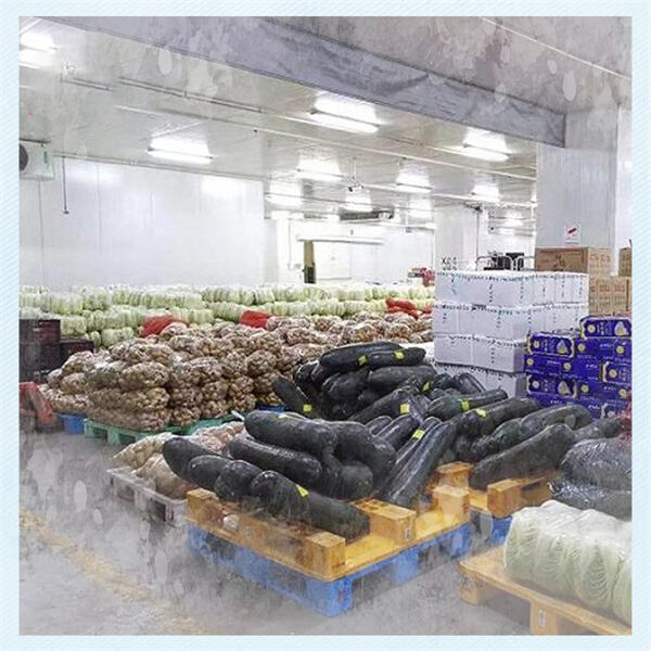 Customized Walk-In Cooler Solutions to Meet Your Business Needs