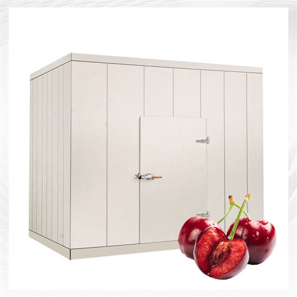 Temperature Control Made Easy with a Walk-in Cooler Uni