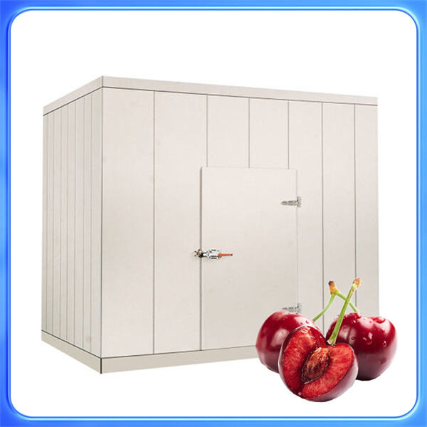 Customizable Options for Any Business's Needs