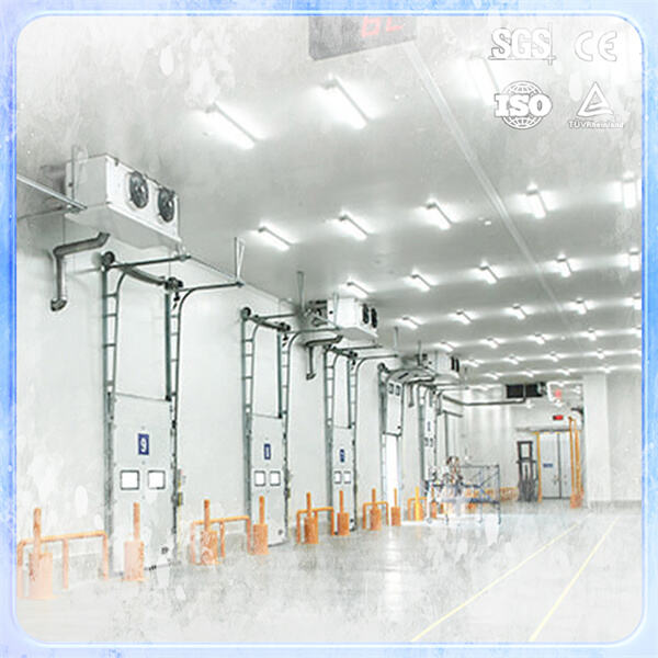 Simplifying Maintenance and Repairs with a Freezer Unit Designed for Walk-In Freezers