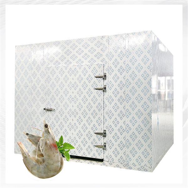 Entdecken Sie die neuesten Trends in der Technologie von Walk-in-Kühleinheiten