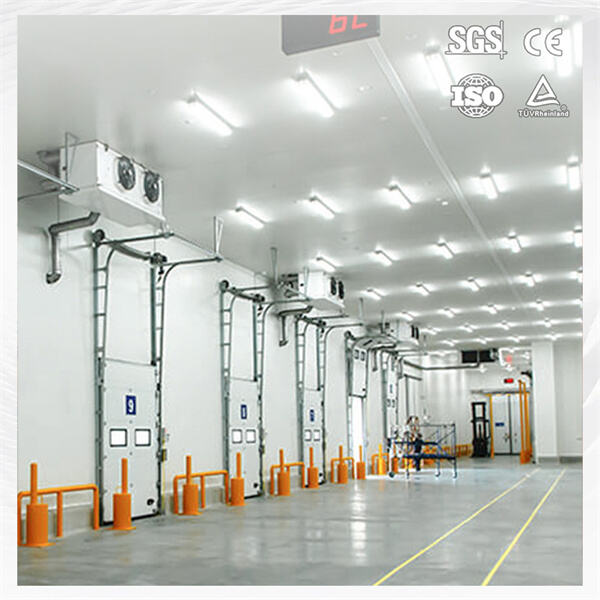 耐候性を備えた業務用外設置型冷凍庫