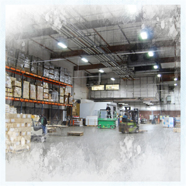 Tips for Properly Operating and Cleaning a Freezer Room
