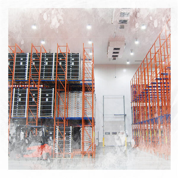 Save Space and Energy with Walk-In Cooler Units