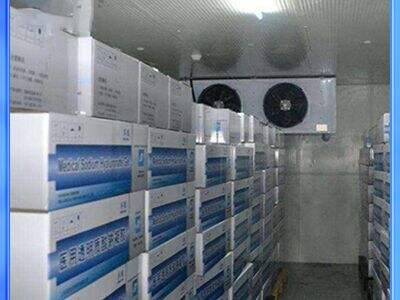 لماذا تعد غرف التبريد المخصصة للزهور ضرورية لبائعي الزهور في المناسبات