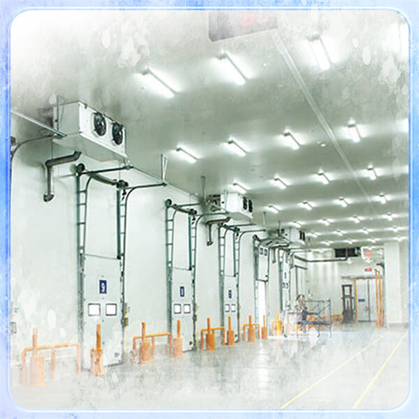 การค้นพบความสงบในสถานที่พักผ่อนห้องเย็น