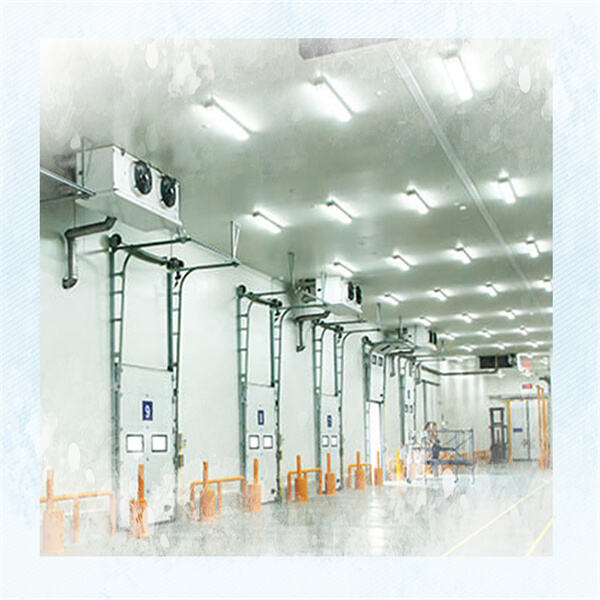 Temperature-controlled storage for all your frozen goods