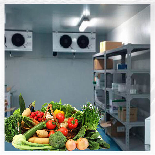 Where to Find the Most Reliable Walk-in Coolers with Refrigeration for Your Business