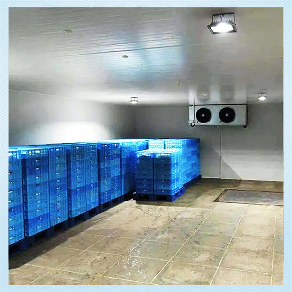 Maximieren Sie Effizienz und Stauraum mit unseren Kühlraumkühlschränken