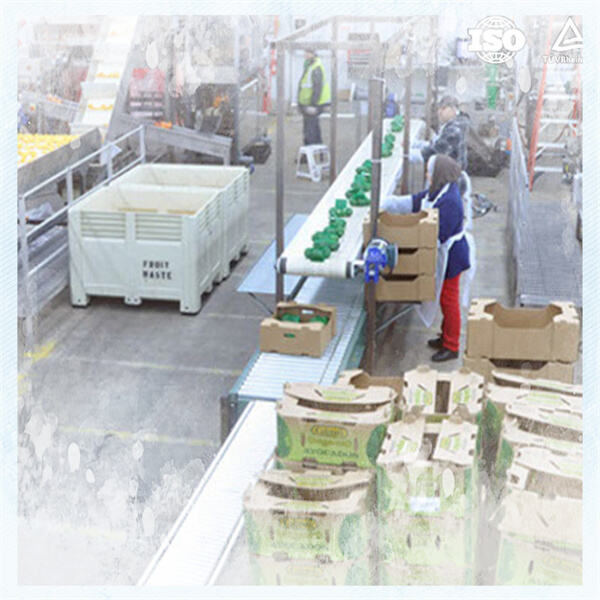 The Importance of Regular Maintenance for Walk-in Coolers and Freezers