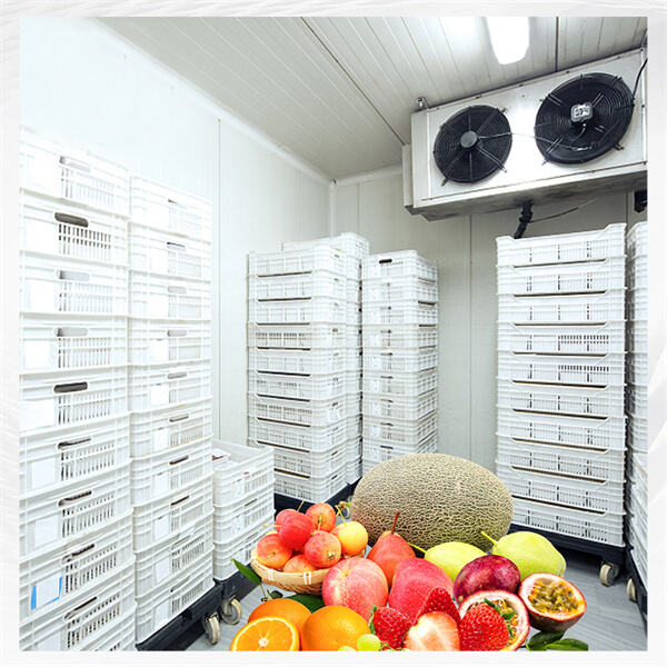 Keep your beverages chilled and your snacks crisp with this innovative tech