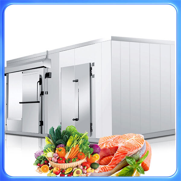 Bleiben Sie der Konkurrenz einen Schritt voraus mit unseren erstklassigen Kühlraumkühlschränken