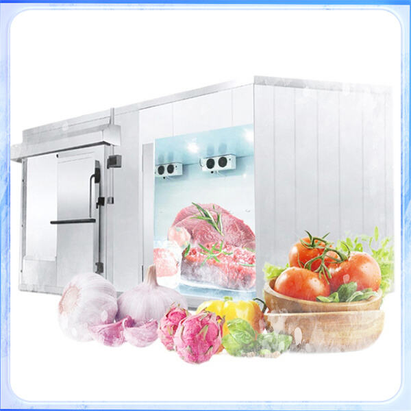 Quick Set-Up and Excellent Customer Support