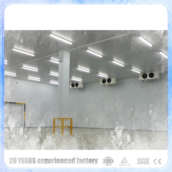 خيارات قابلة للتخصيص لاحتياجات التبريد التجارية الخاصة بك