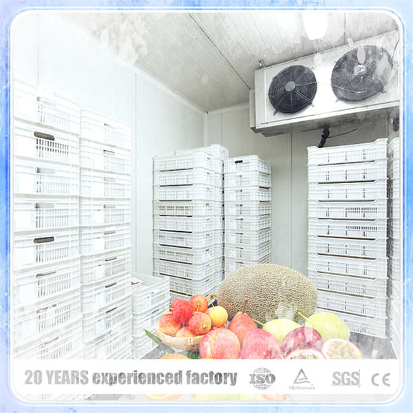 Energy-Efficient Cooling for Cold Room Applications.