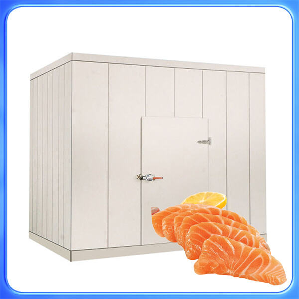 How Cold Room Cold Storage Can Preserve Freshness and Quality
