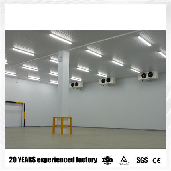 A Versatile Appliance for Any Home