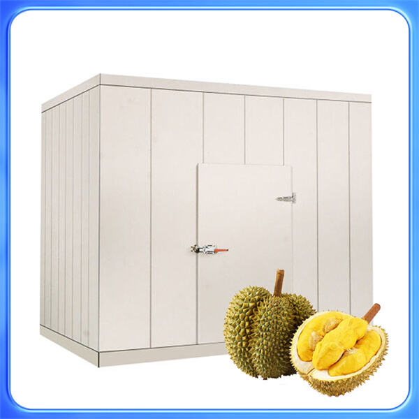 Choosing the right walk-in cooler freezer for your business