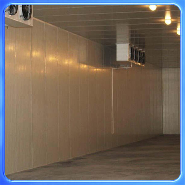 تعظيم المساحة والتحكم في درجة الحرارة مع خزانة تبريد م walkthrough