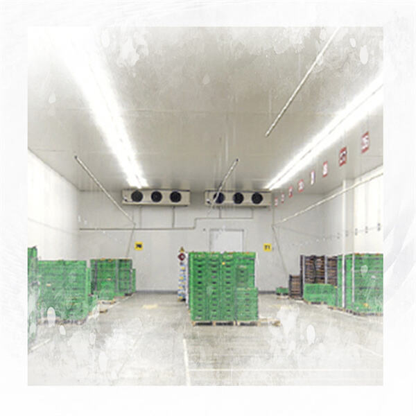 Essential Tips for Maintaining a Cold Room Storage System