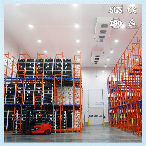 Ensuring Proper Temperature Control and Preservation with a Walk-In Freezer Freezer Uni