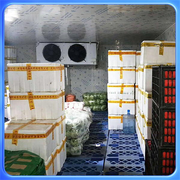 สิ่งเร้นลับที่แฝงอยู่ในห้องเย็น