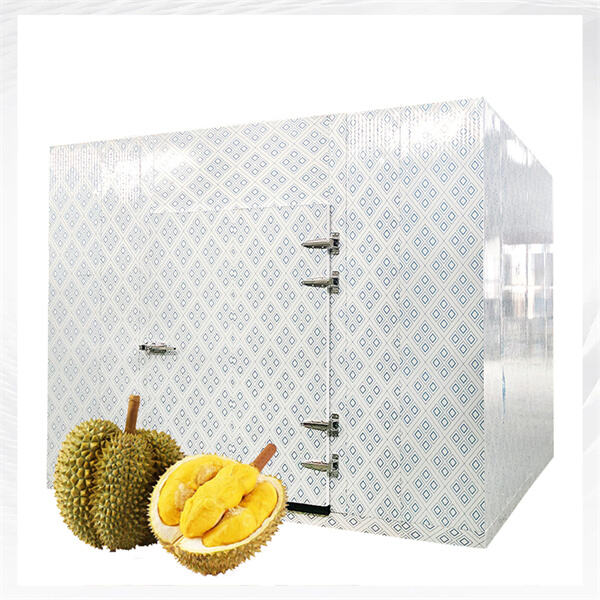 Maintaining the Proper Temperature in Walk-in Coolers and Freezers