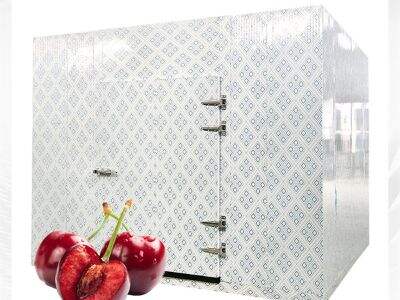 Vilka installationsfaktorer är viktiga för kombination av gå-in-kyl och frysrumsanläggning