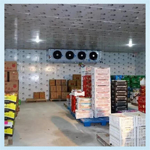 Customizable Walk-In Freezers to Meet Your Business Needs and Budge