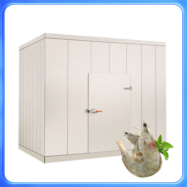 Organizing with a Cold Room Freezer