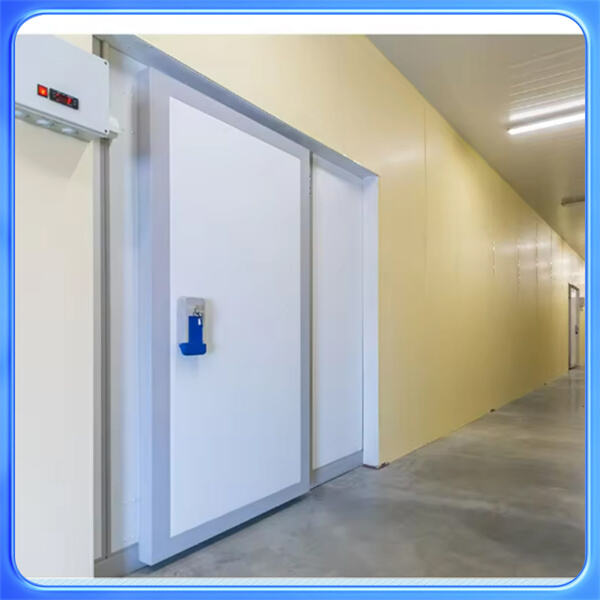 Choosing the Right Cold Room Door for Your Needs