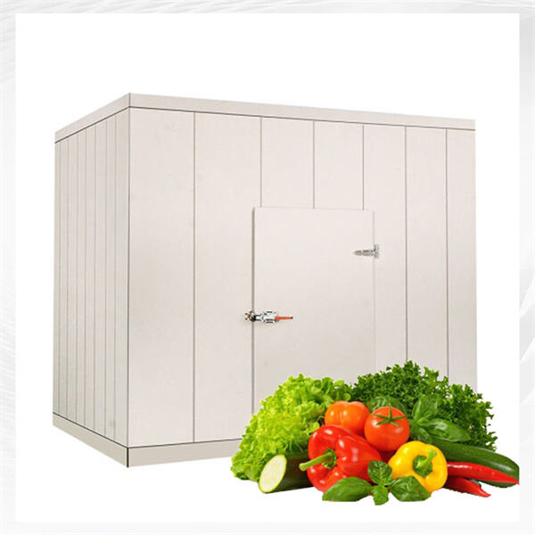 Maximizing storage space with a freezer room