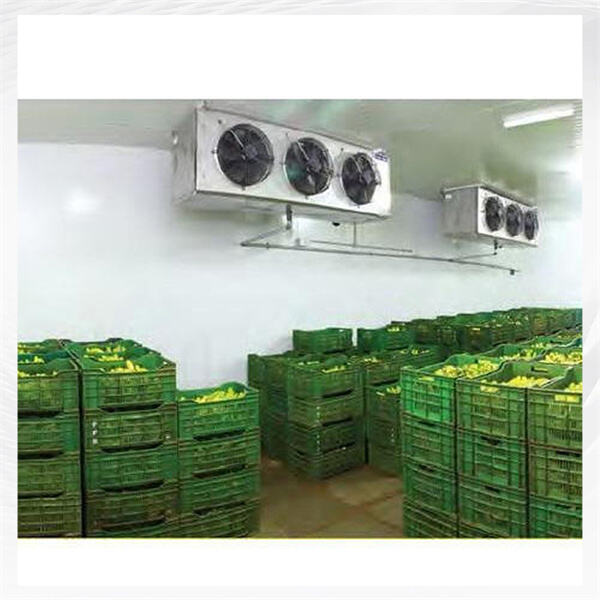 Cum poate un frigider mic pentru cameră de student ajuta la economisirea spațiului și energiei?