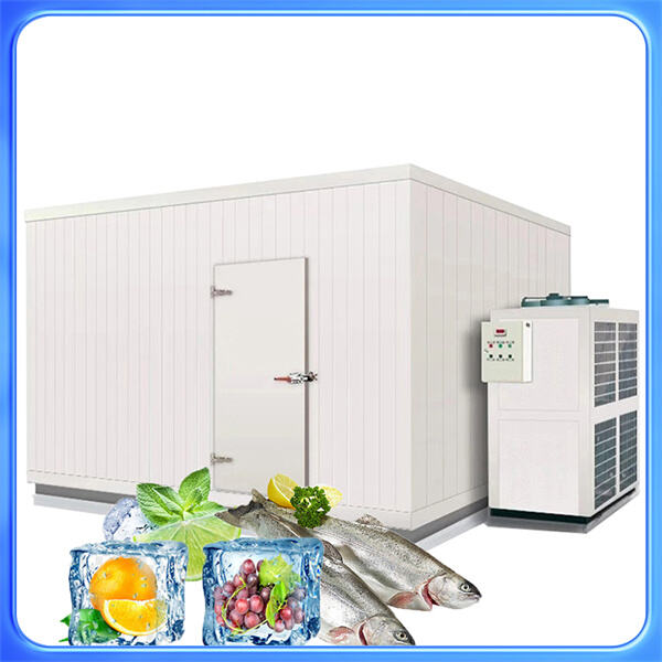 Choosing the Right Size Walk-In Cooler for Your Business