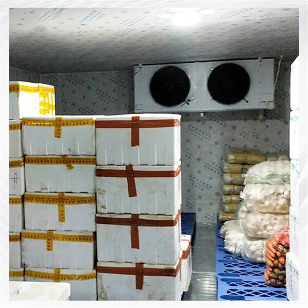 How Refrigerated Rooms Save Energy and Money