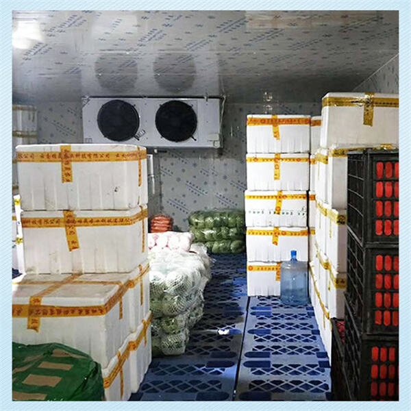 The Importance of Proper Maintenance for Walk-In Coolers
