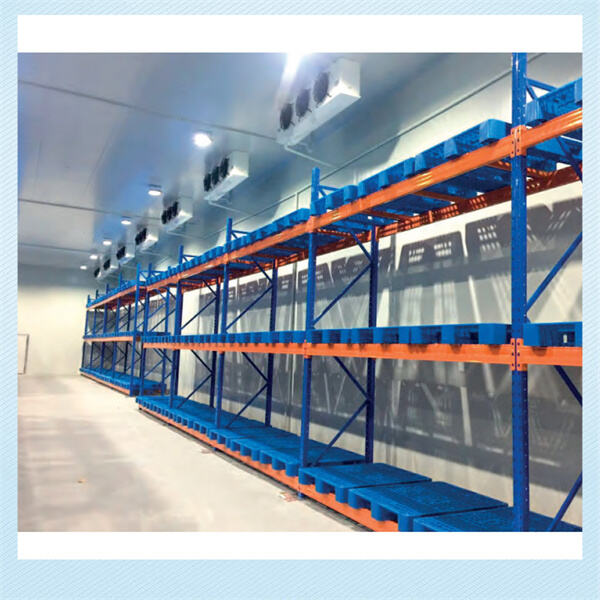 Customizable options to meet your needs: