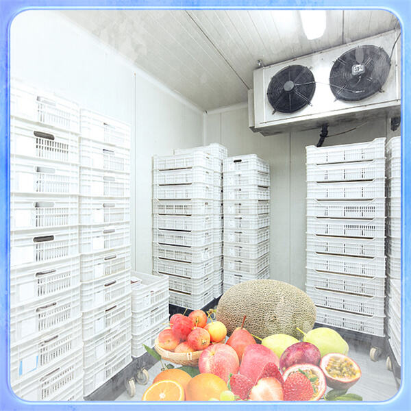 Unde pot găsi cele mai bune oferte la frigidere mici pentru camere de student?