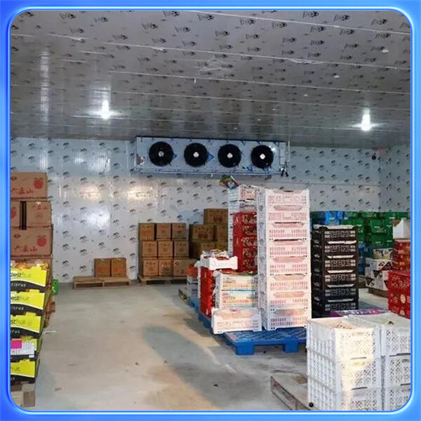 貴社のビジネスニーズに対応する革新的なセルフコンテインドフリーザー