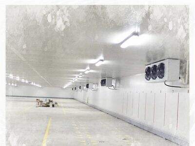 Hur en gångkyler stödjer livsmedelskedjan