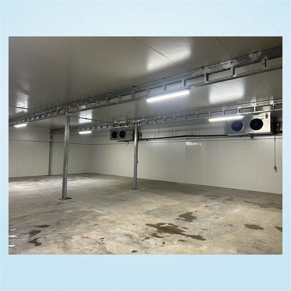 How to Choose the Right Walk-in Cooler with Refrigeration for Your Needs