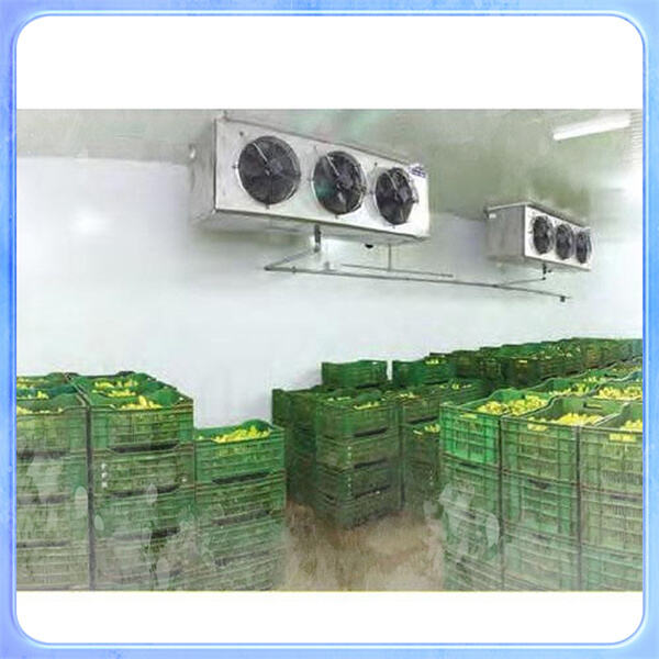 Finden Sie den perfekten Kühlraumkühlschrank für Ihre Geschäftsanforderungen zu unschlagbaren Preisen